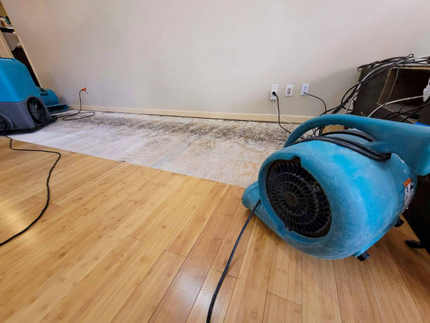 Professional Water Removal technician working in Colleyville, TX